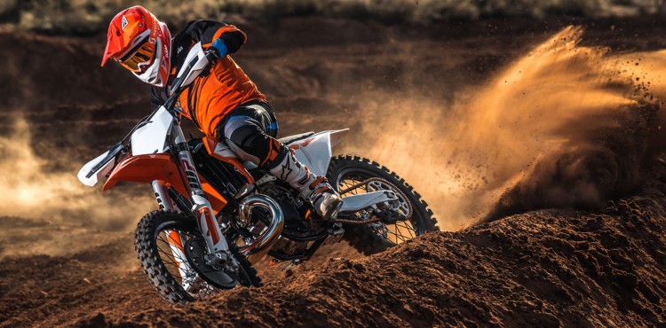 portada-sx2019